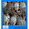 fresh frozen blue crab